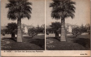 France Nice Un Coin des Jardins des Palmiers Postcard C167