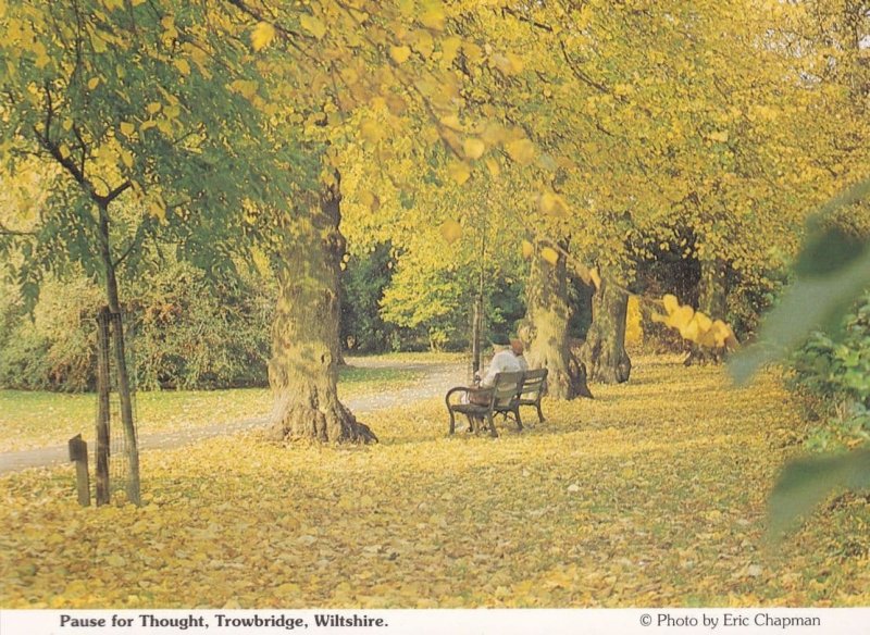 Pause For Thought OAP Elderly Trowbridge Park Wiltshire Postcard