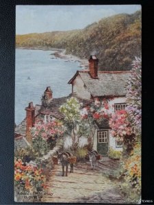 c1950's - Clovelly - Rose Cottage & Bay - Devon