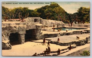 San Antonio Texas~Monkey Island At San Antonio Zoo~PM 1947 Linen Postcard