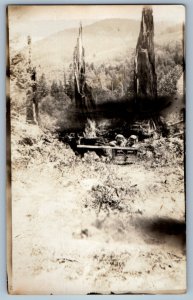 c1910's Children Dog Cart Dead Trees RPPC Photo Unposted Antique Postcard