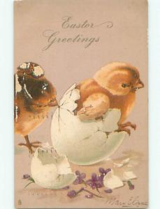 Surface Wear Pre-1907 easter CHICK HELPS ANOTHER CHICK HATCH FROM EGG J1933