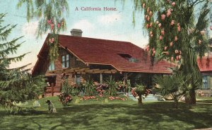 1907 A California Home Landscape Yard Palms Dog Vintage Postcard