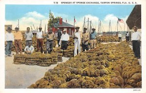 Sponges at Sponge Exchange  Tarpon Springs FL