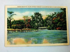 Vintage Postcard Silver Springs through Glass Bottom Boats Silver Springs FL