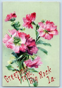 Big Rock Iowa IA Postcard Greetings Embossed Flowers And Leaves c1910's Antique