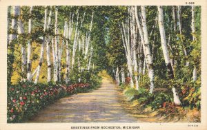 ROCHESTER MICHIGAN GREETINGS FROM POSTCARD 1940s