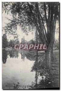 Old Postcard Beaune Park Bouzaise