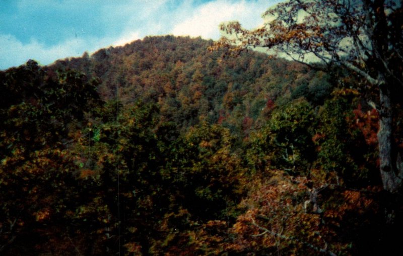 Grassy Knob,Greenville County,SC