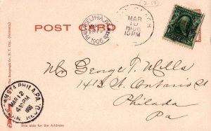 AFTERNOON TEA UNDER THE PALMS PALM BEACH FLORIDA POSTCARD 1906