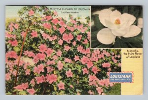 Flowers of Louisiana Magnolia and Azaleas LA UNP Unused Linen Postcard M14