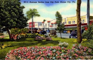 Haines City, Florida - The view from City Park of Downtown Business Area - 1956
