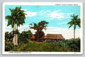Vintage Cuba Postcard Cuban Landscape Country Hut Bohio Royal Palms Linen