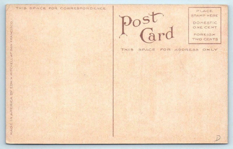 SAN FRANCISCO, CA  ~ CALIFORNIA STREET HILL c1910s Cable Car  Postcard