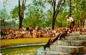 Sea Lions Garden of Wonders Montreal Quebec QC Children's Zoo Postcard H12