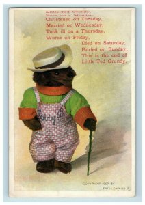 1907 Fred Cavally Teddy Bear Grundy Anthropomorphic Vintage Postcard P118 