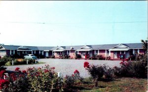 Calhoun, GA Georgia  ROSSER HOWARD MOTEL Roadside ca1950's Advertising Postcard