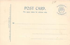 Chillicothe Missouri~High School Building~Bare Trees in Yard~c1910 Postcard