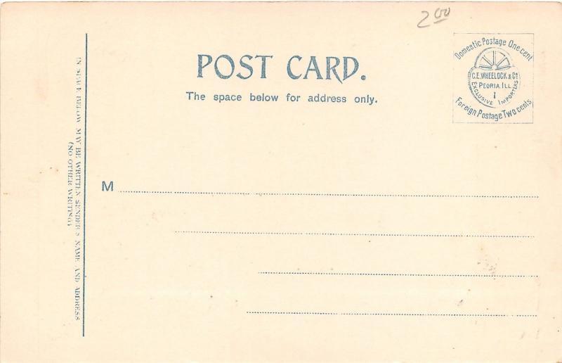 Chillicothe Missouri~High School Building~Bare Trees in Yard~c1910 Postcard