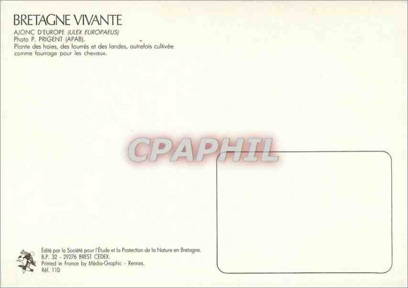 Postcard Modern Living UK