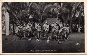 Hula Dancers Hawaiian Islands HI Postcard PC40