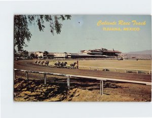 Postcard Caliente Race Track, Tijuana, Mexico