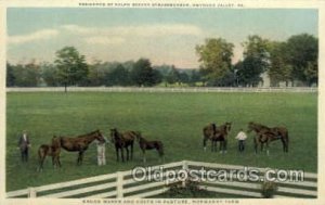 Ralph Bever Strassburger Residence Gnynedo Valley, PA USA Horse Unused 