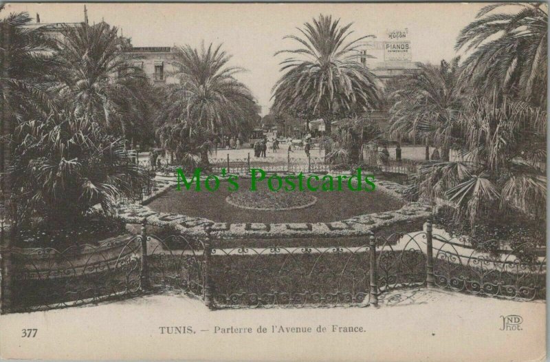 Tunisia Postcard - Tunis - Parterre De L'Avenue De France  RS28487