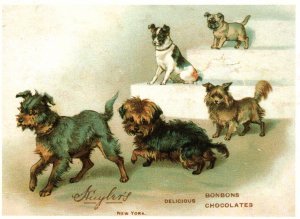 Shuyler's Chocolates Trade Card Reproduction