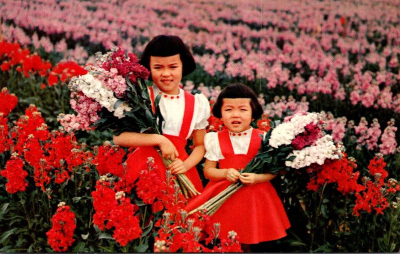 Arizona Phoenix Fields Of Stocks Young Girls In Field Of Flowers 1959