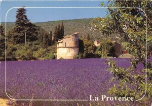 B52822 La Provence sur la route de la Lavande  france