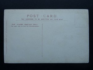 Actress MISS MARY ANDERSON c1905 RP Postcard by Beagles & Co.