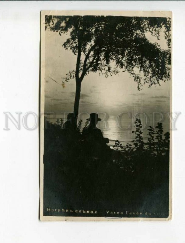 3173249 BULGARIA VARNA sunset Vintage real photo postcard