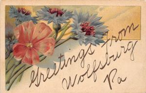 C23/ Wolfsburg Pennsylvania Pa Greetings from Postcard 1907 10