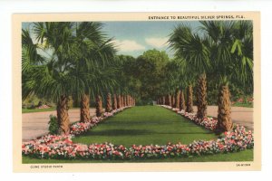 FL - Silver Springs. Palm-Lined Entrance ca 1935