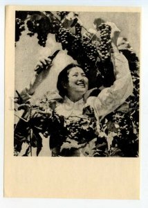 490250 1957 Korea girl picking grapes Mankyungdai-ri Agricultural Cooperative