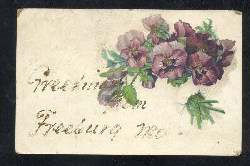 GREETINGS FROM FREEBURG MISSOURI MO. PURPLE FLOWERS VINTAGE POSTCARD 1907