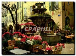 Modern Postcard The French Riviera miracle of nature Grasse Alpes Maritimes