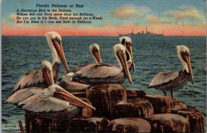 Florida Birds Pelicans At Rest Curteich