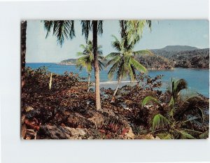 Postcard San San Bay Jamaica