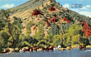 IDAHO PRIMITIVE AREA-PACK HORSES & COWBOYS-THE GEM STATE POSTCARD