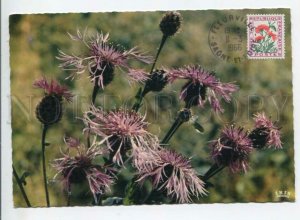 440982 FRANCE 1966 Flowers First Day maximum card RPPC Postage meter