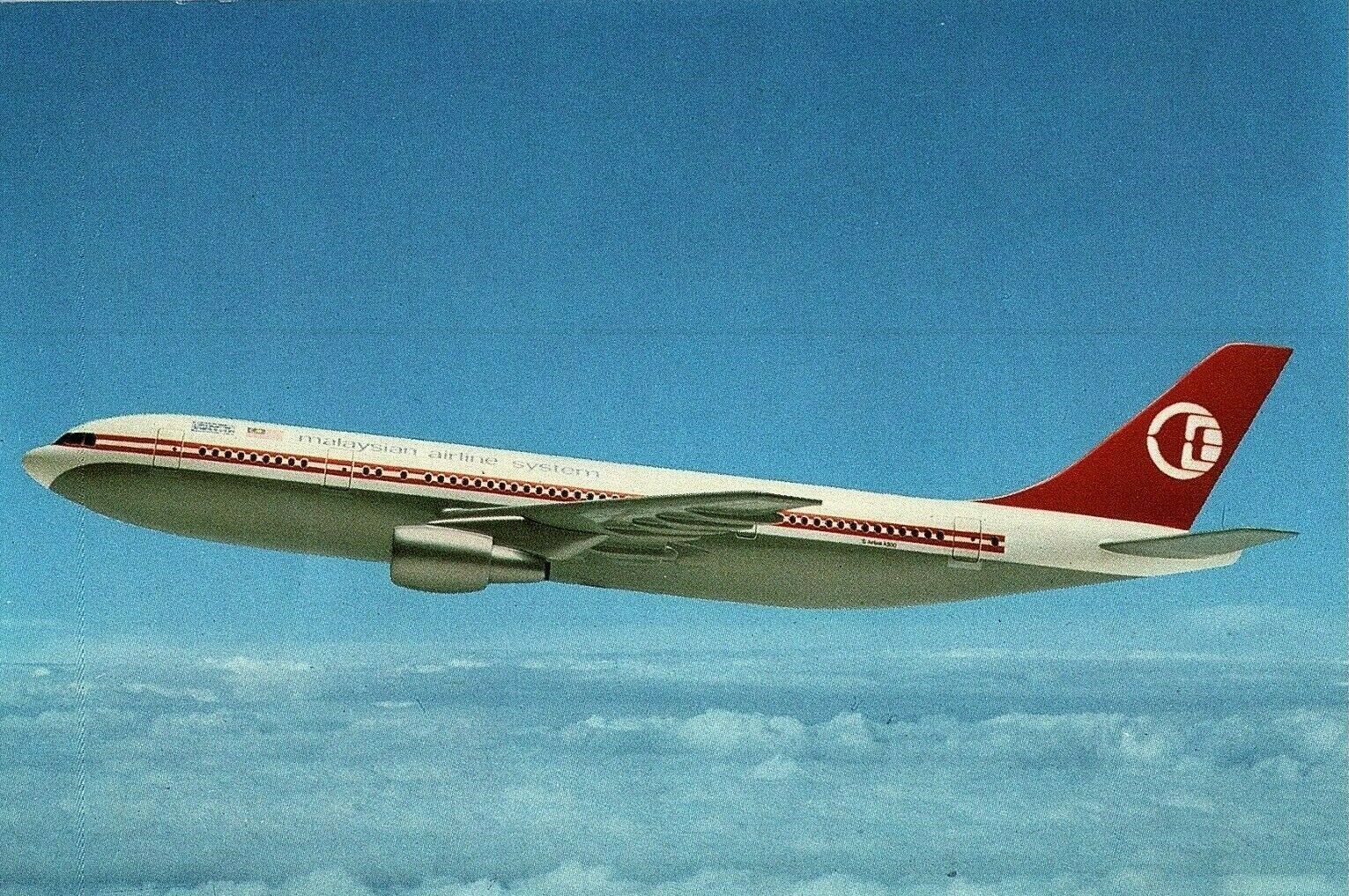 Malaysian Airline System Airbus Wide Body airline issued Airplane