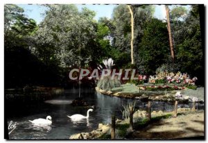 Modern Postcard La Rochelle in the river Swans parks