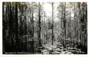 c1940 RPPC Postcard; Okefenokee Swamp Park, Waycross GA 2-V-114 Cline? Ware Co.