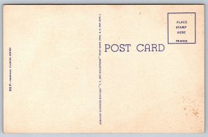 Oleanders In Full Bloom, Florida, Vintage Curteich Linen Postcard