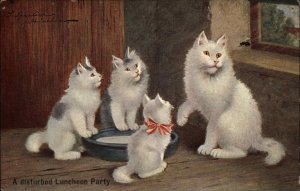 Ettlinger & Co Fluffy White Mother Cat and Kittens Luncheon c1910 Postcard