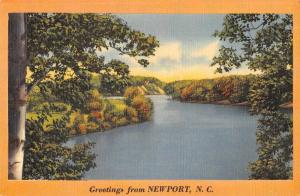 Newport North Carolina Greetings River Scene Antique Postcard J71774