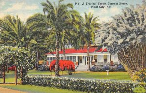 Coronet Home Tropical Scene Plant City Florida linen postcard
