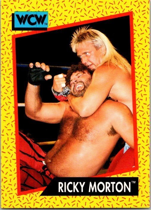 1991 WCW Wrestling Crad Ricky Morton sk21120